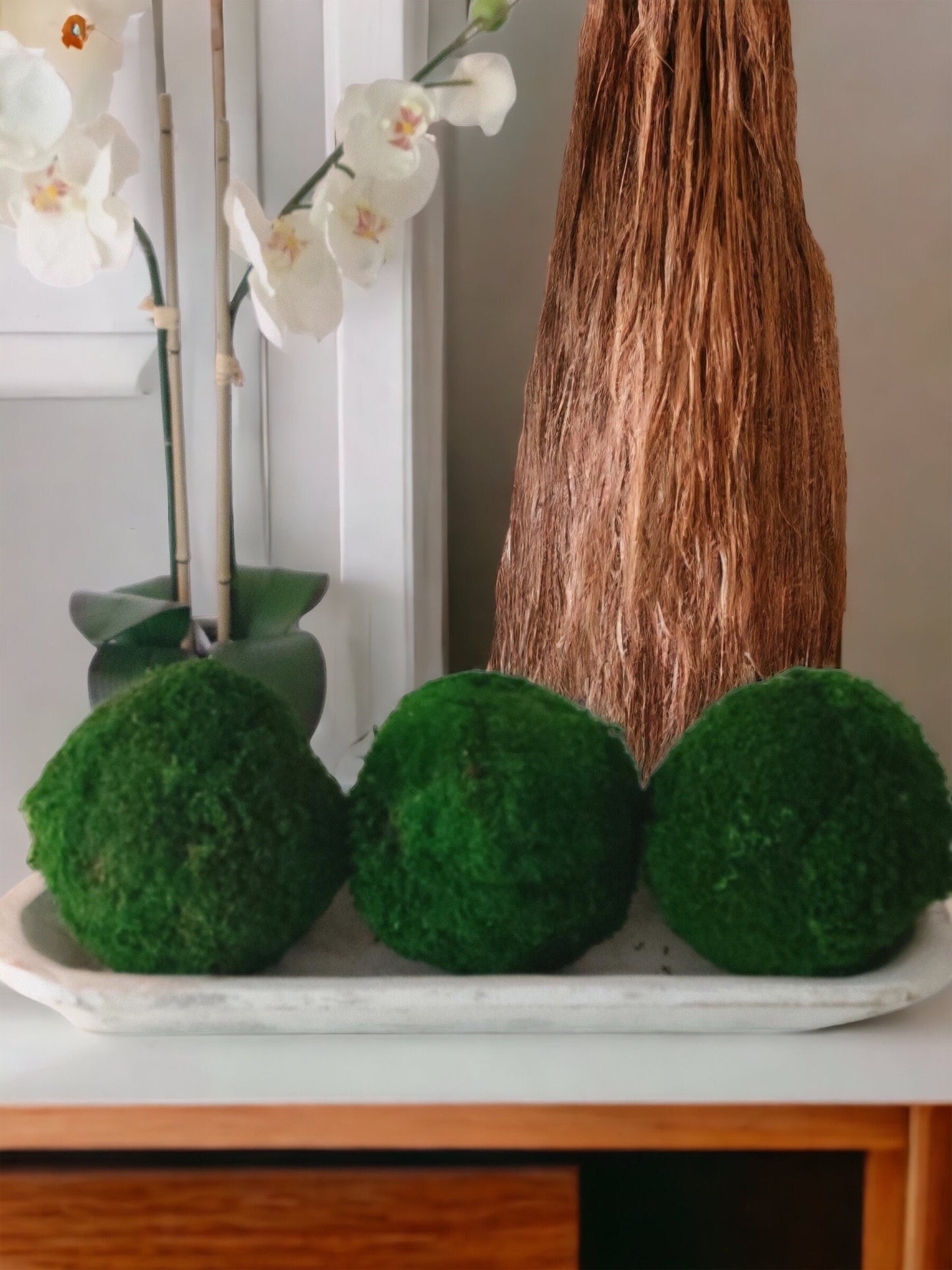 6" Decorative Preserved Moss Balls
