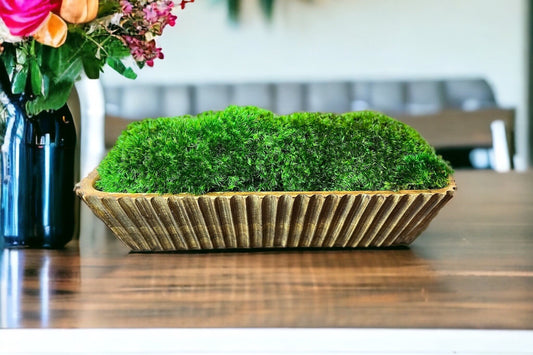 15" Hand Carved Wood Moss Bowl