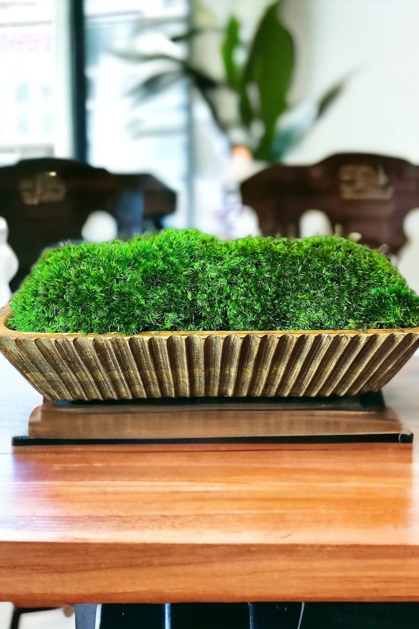 15" handgeschnitzte Holzmoosschale