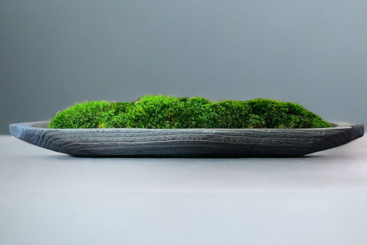 28" Paulownia Wood Bowl