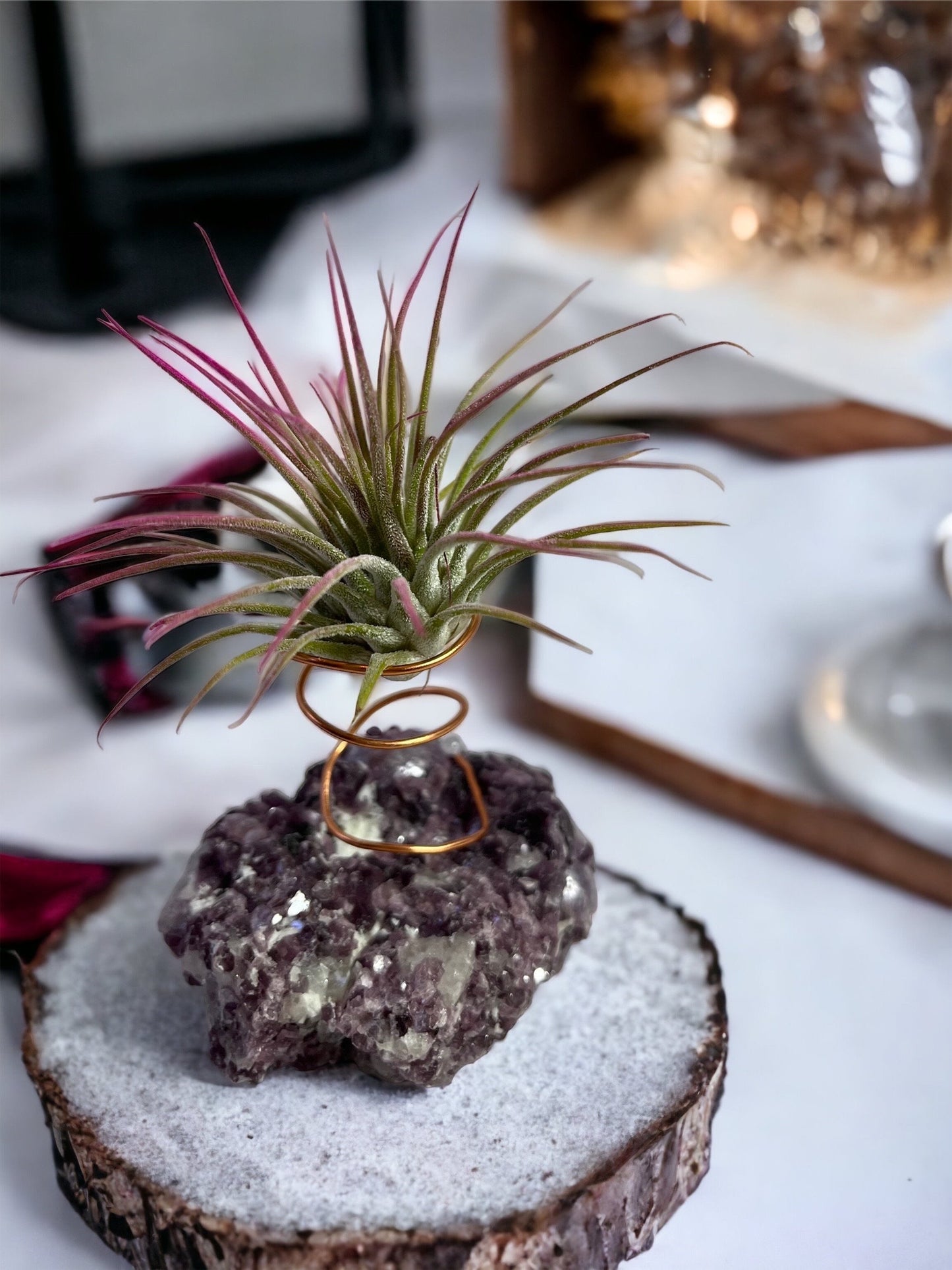Botryoidal Lepidolite Crystal w/ Air Plant Holder