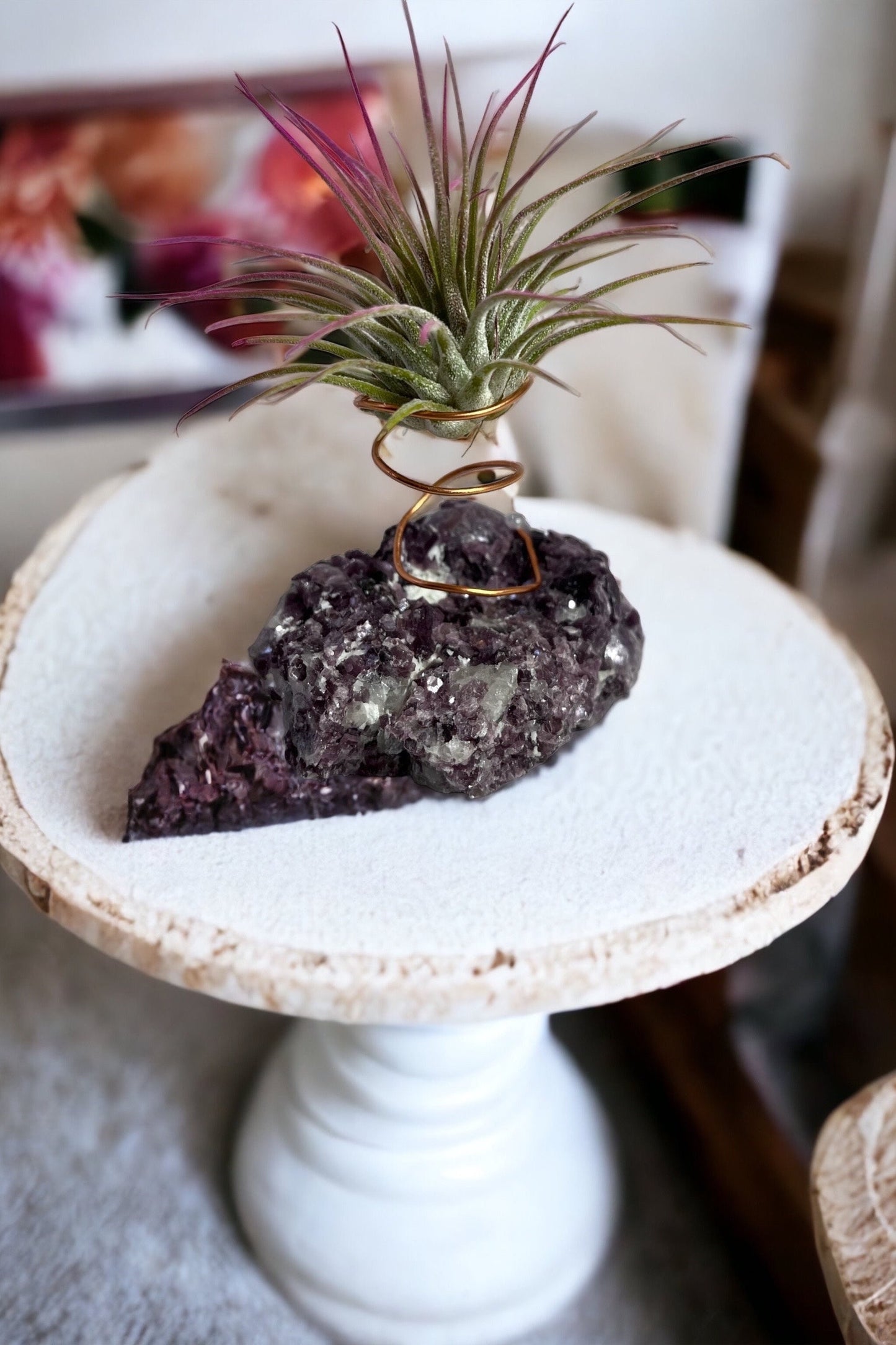 Botryoidal Lepidolite Crystal w/ Air Plant Holder