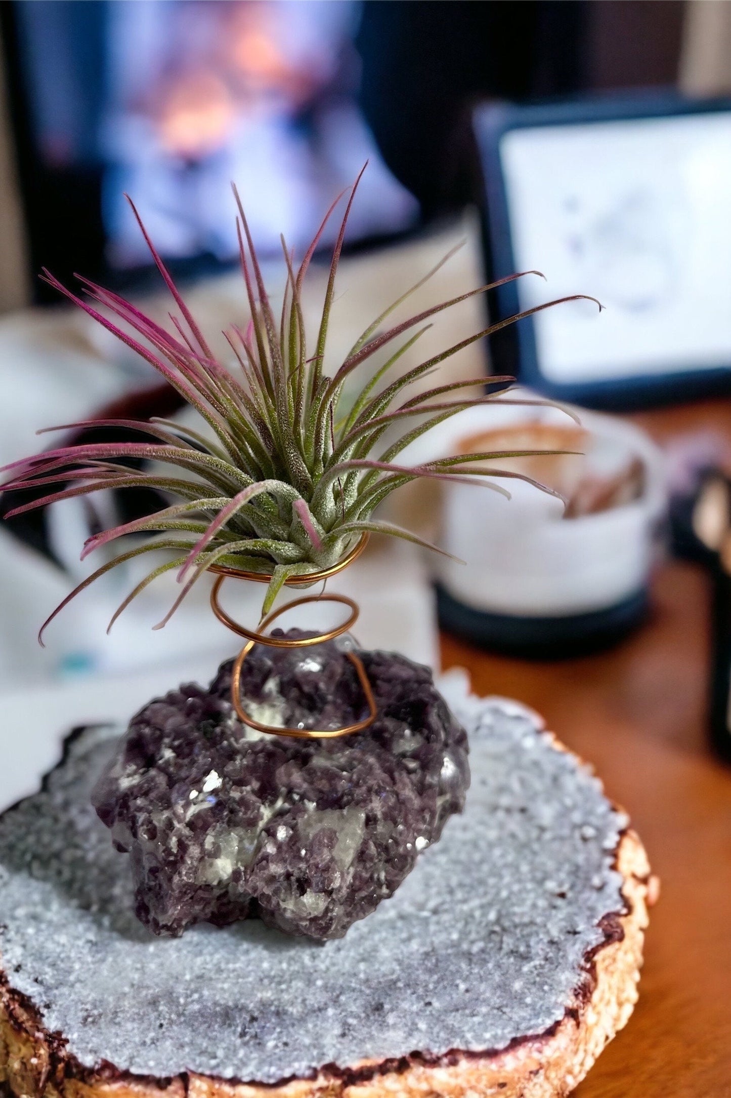 Botryoidal Lepidolite Crystal w/ Air Plant Holder
