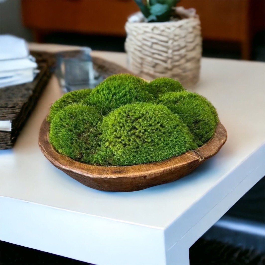 12" oder 16" runde rustikale Holzmoosschale