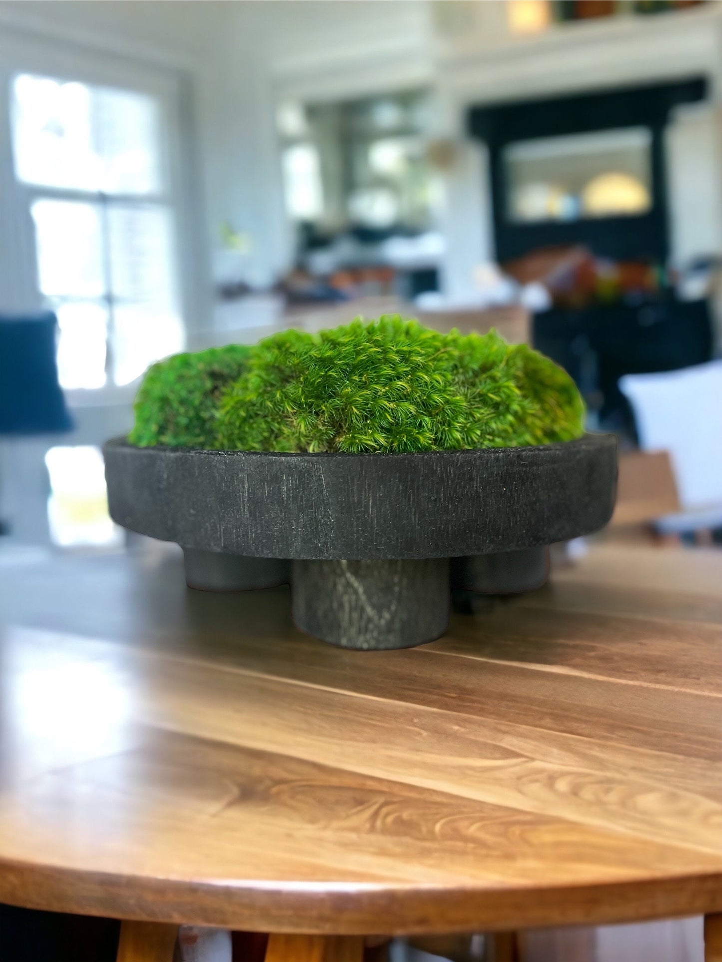 12" runde schwarze Moosschale mit Sockel