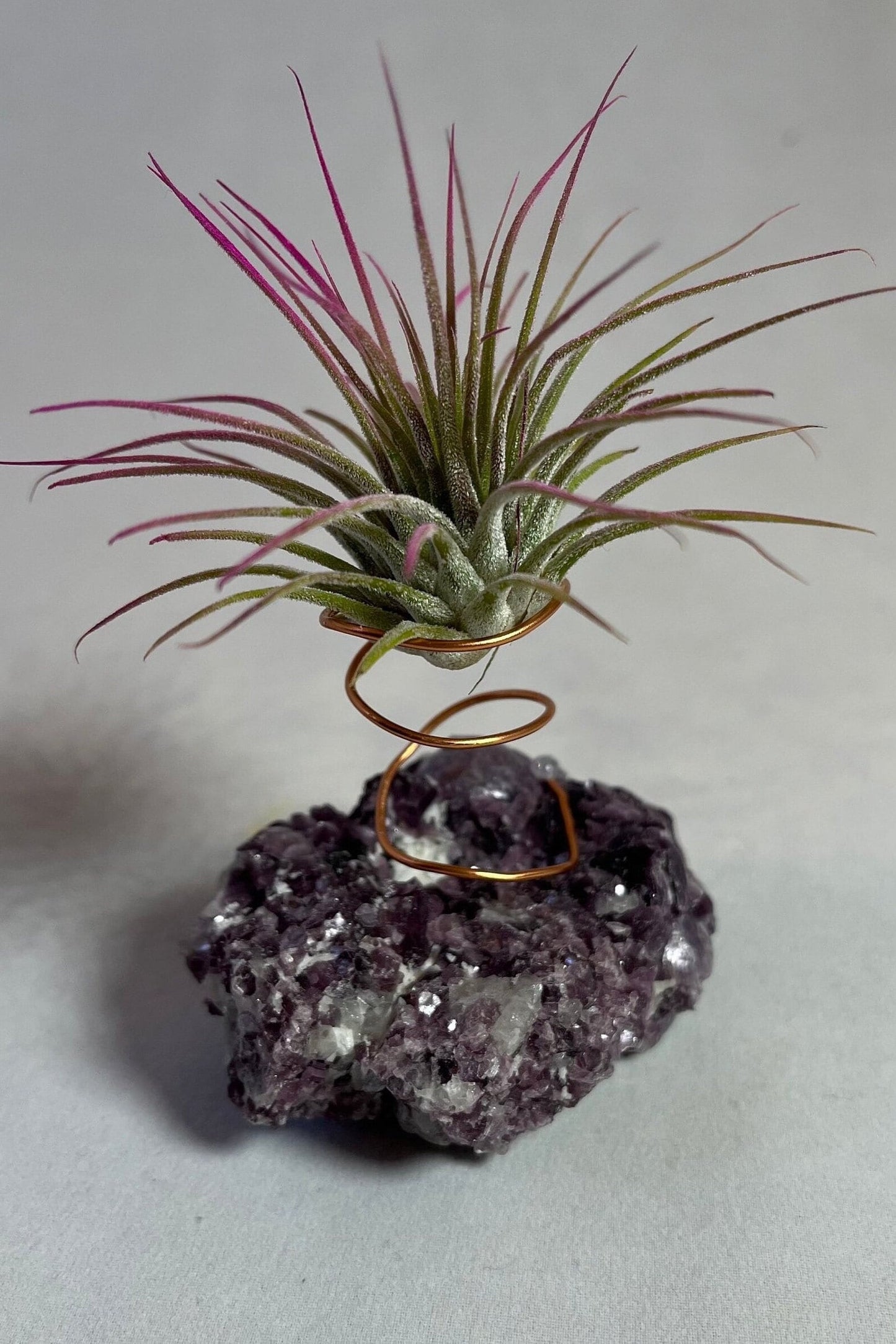 Botryoidal Lepidolite Crystal w/ Air Plant Holder