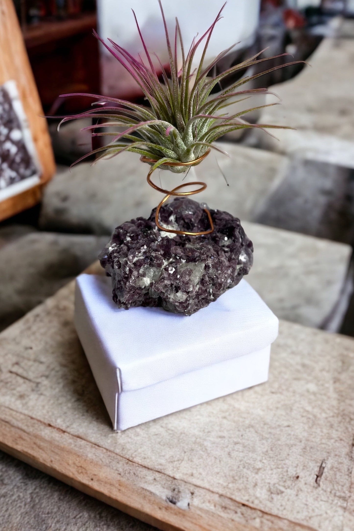 Botryoidal Lepidolite Crystal w/ Air Plant Holder