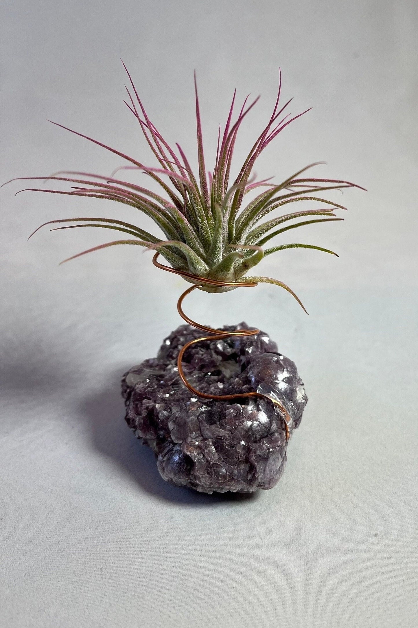 Botryoidal Lepidolite Crystal w/ Air Plant Holder
