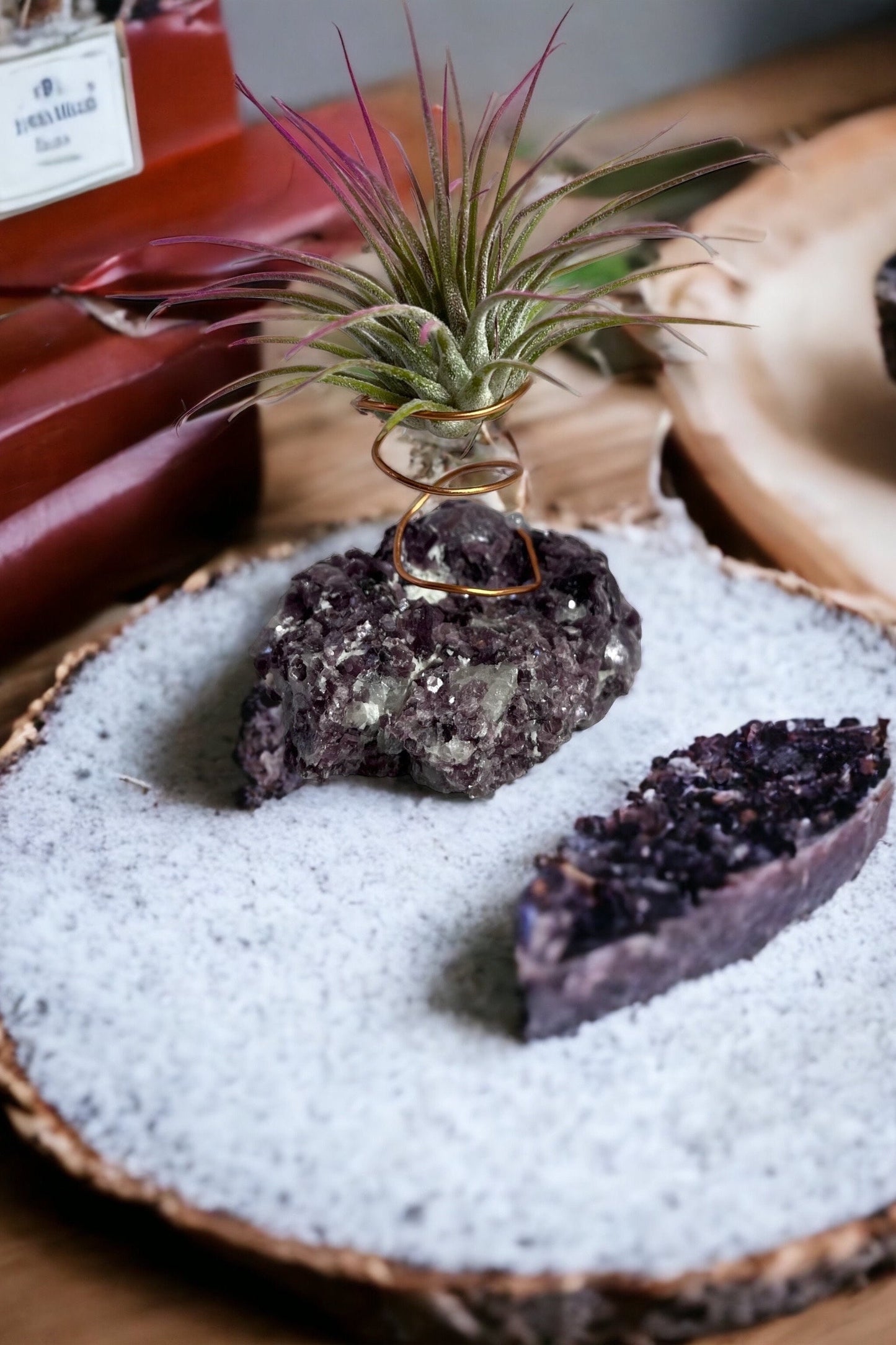 Botryoidal Lepidolite Crystal w/ Air Plant Holder