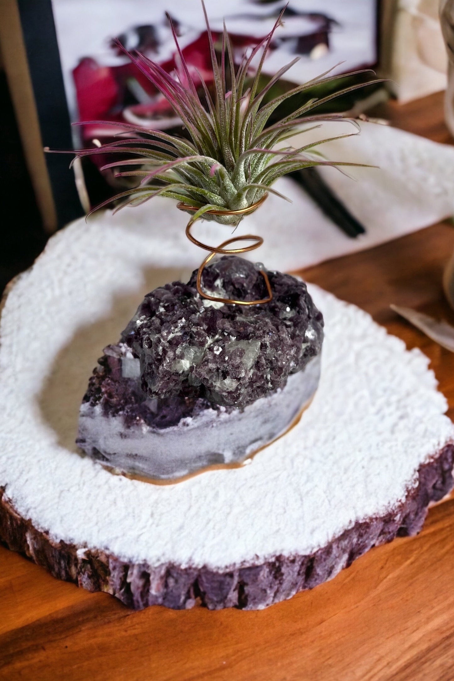 Botryoidal Lepidolite Crystal w/ Air Plant Holder