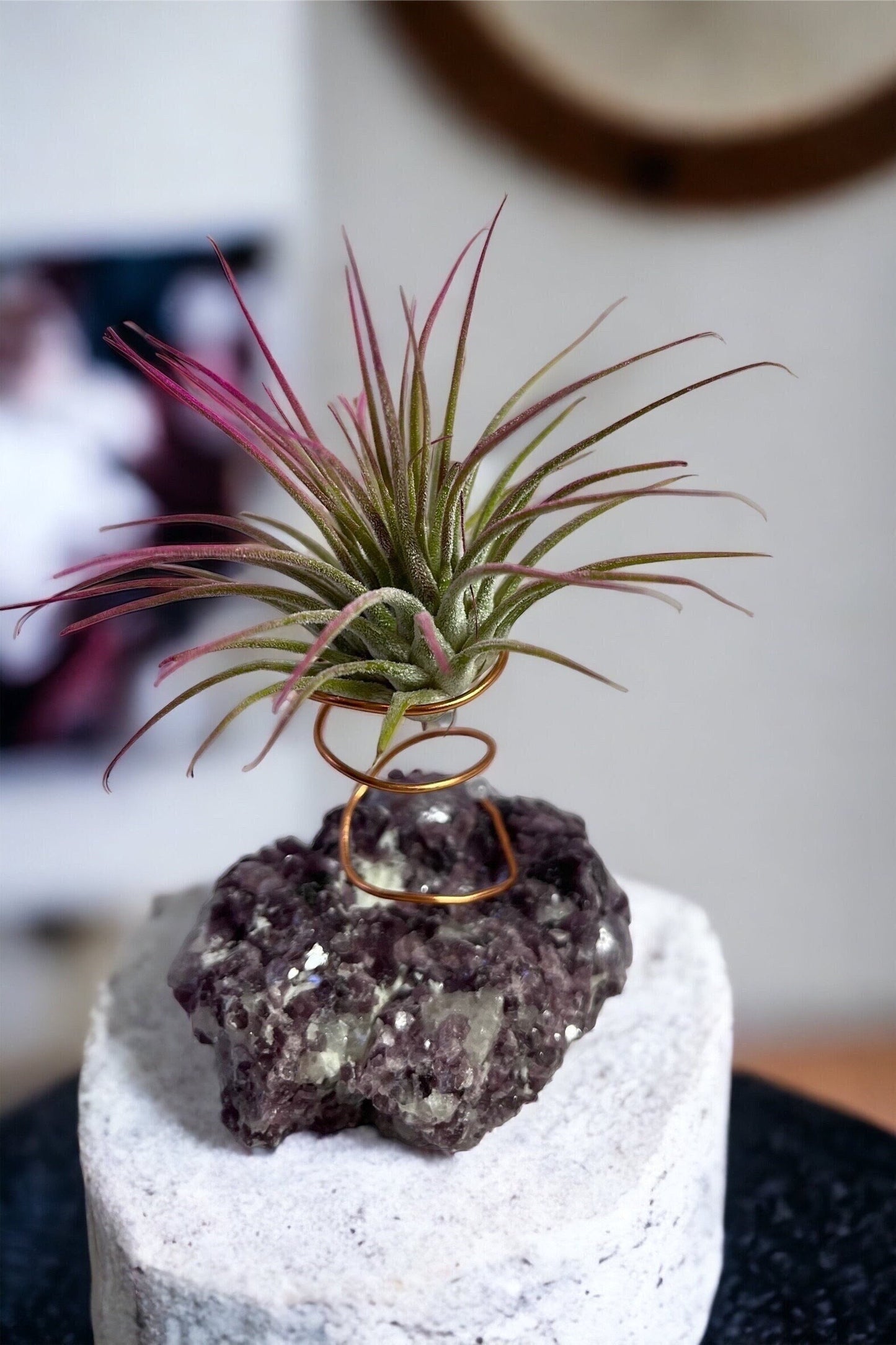 Botryoidal Lepidolite Crystal w/ Air Plant Holder