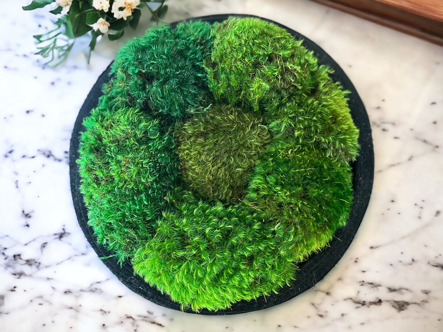 12" runde schwarze Moosschale mit Sockel