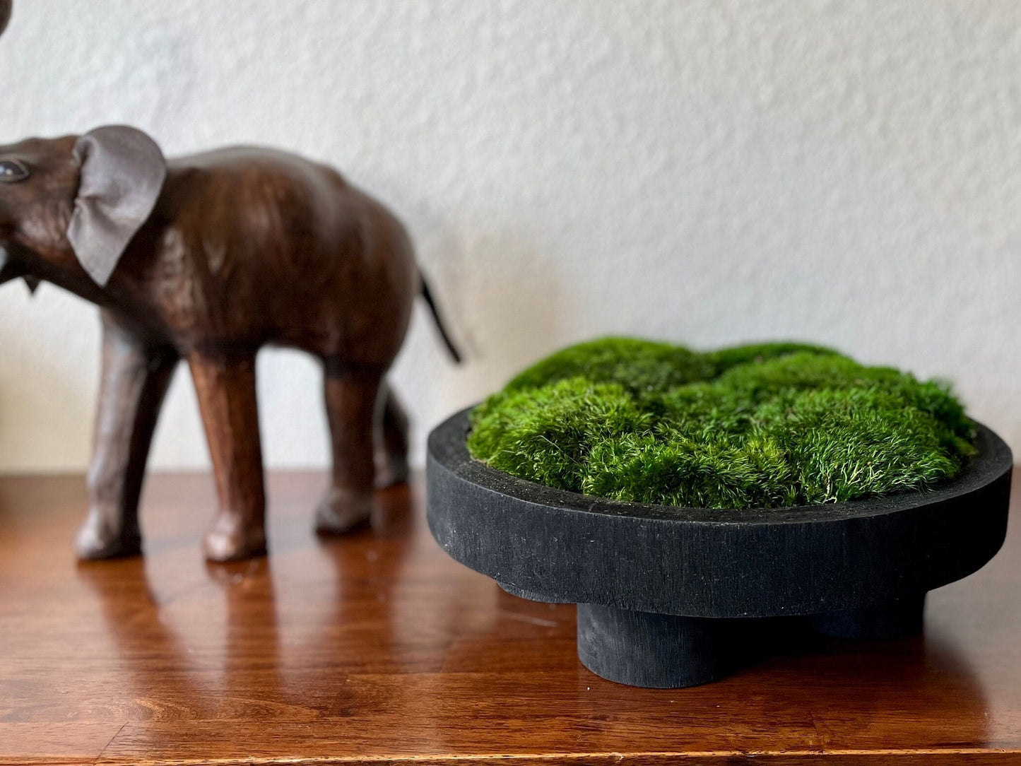 12" runde schwarze Moosschale mit Sockel