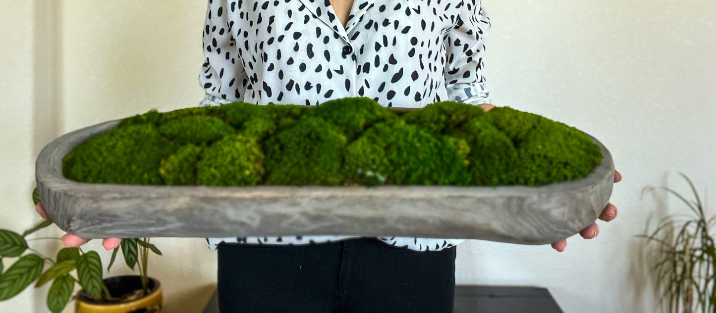 24" Preserved Moss Bowl Paulownia Wood