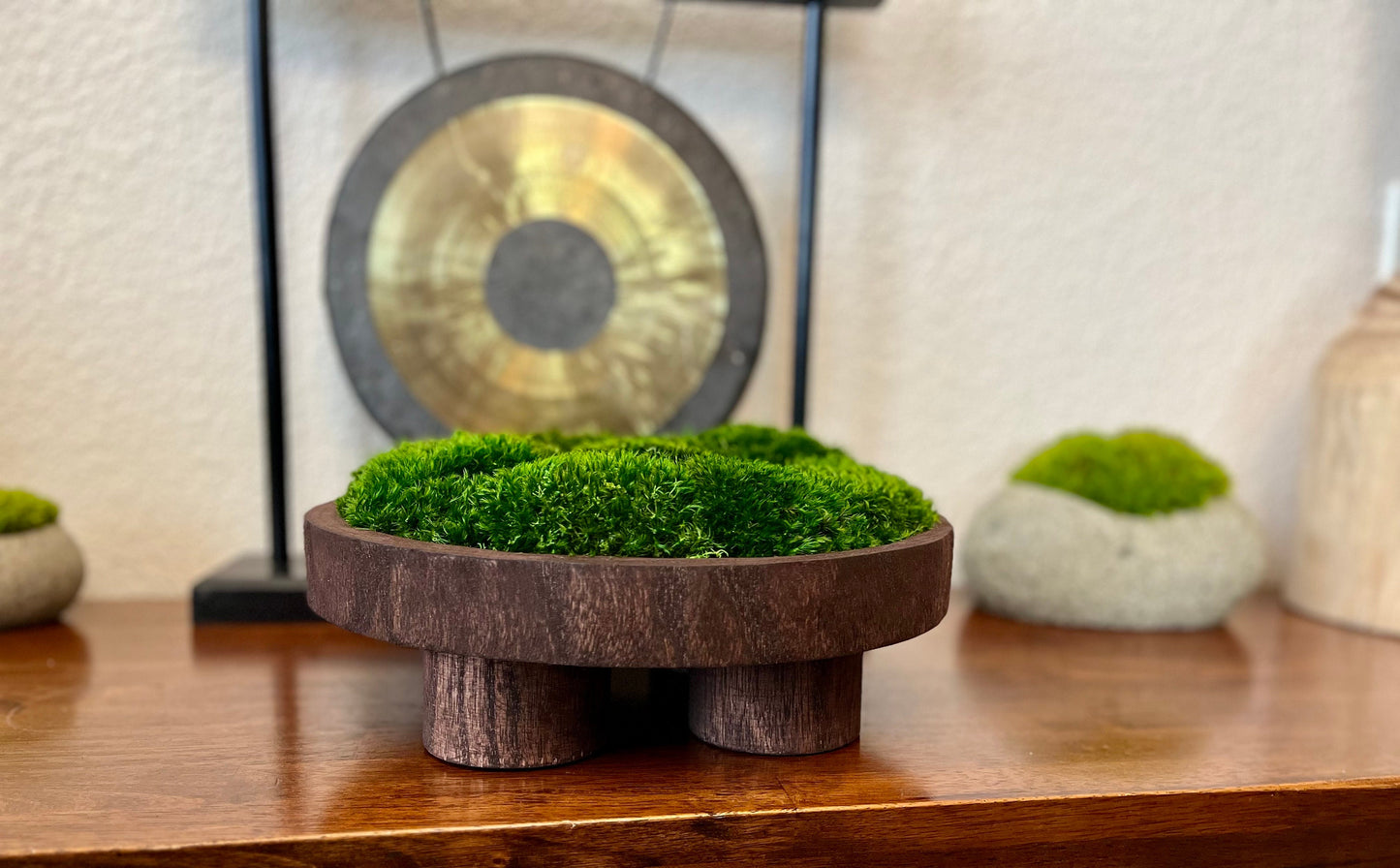 12" runde Mahagoni-Moosschale auf Sockel