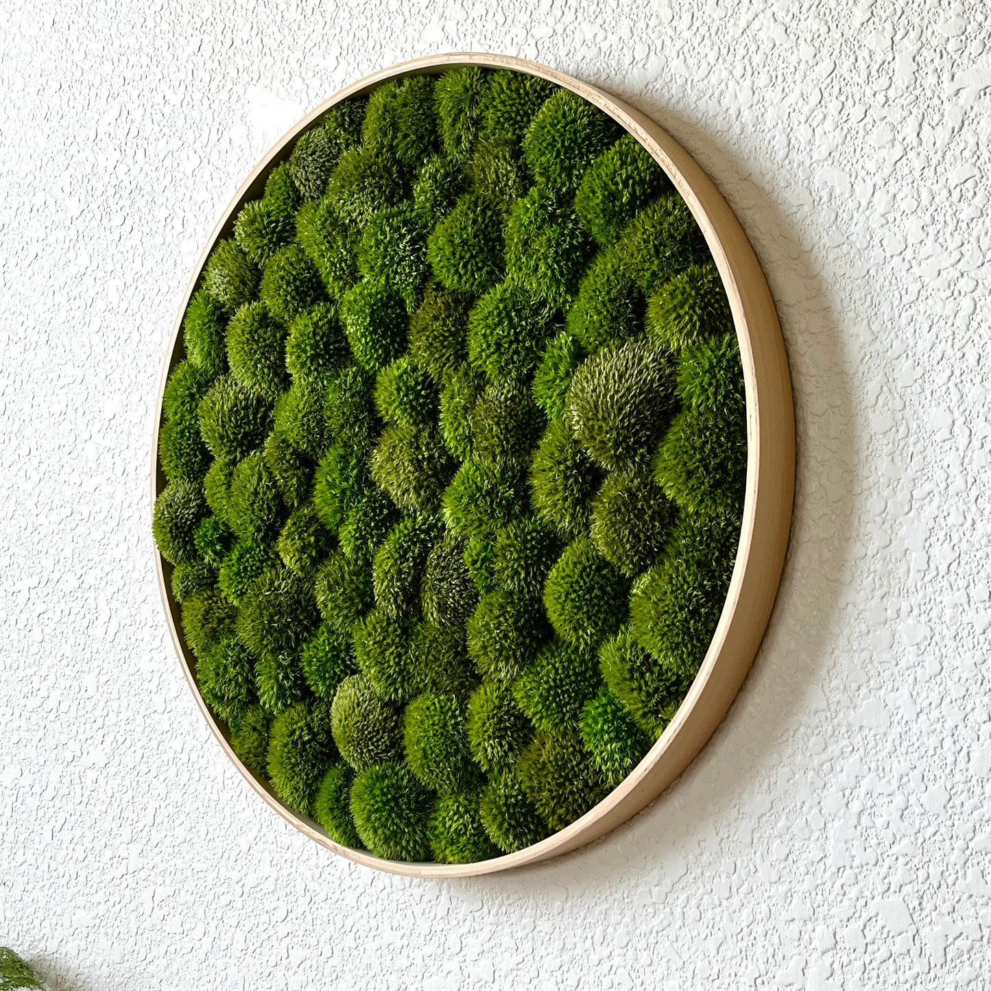 Custom Round Preserved Moss Wall Art
