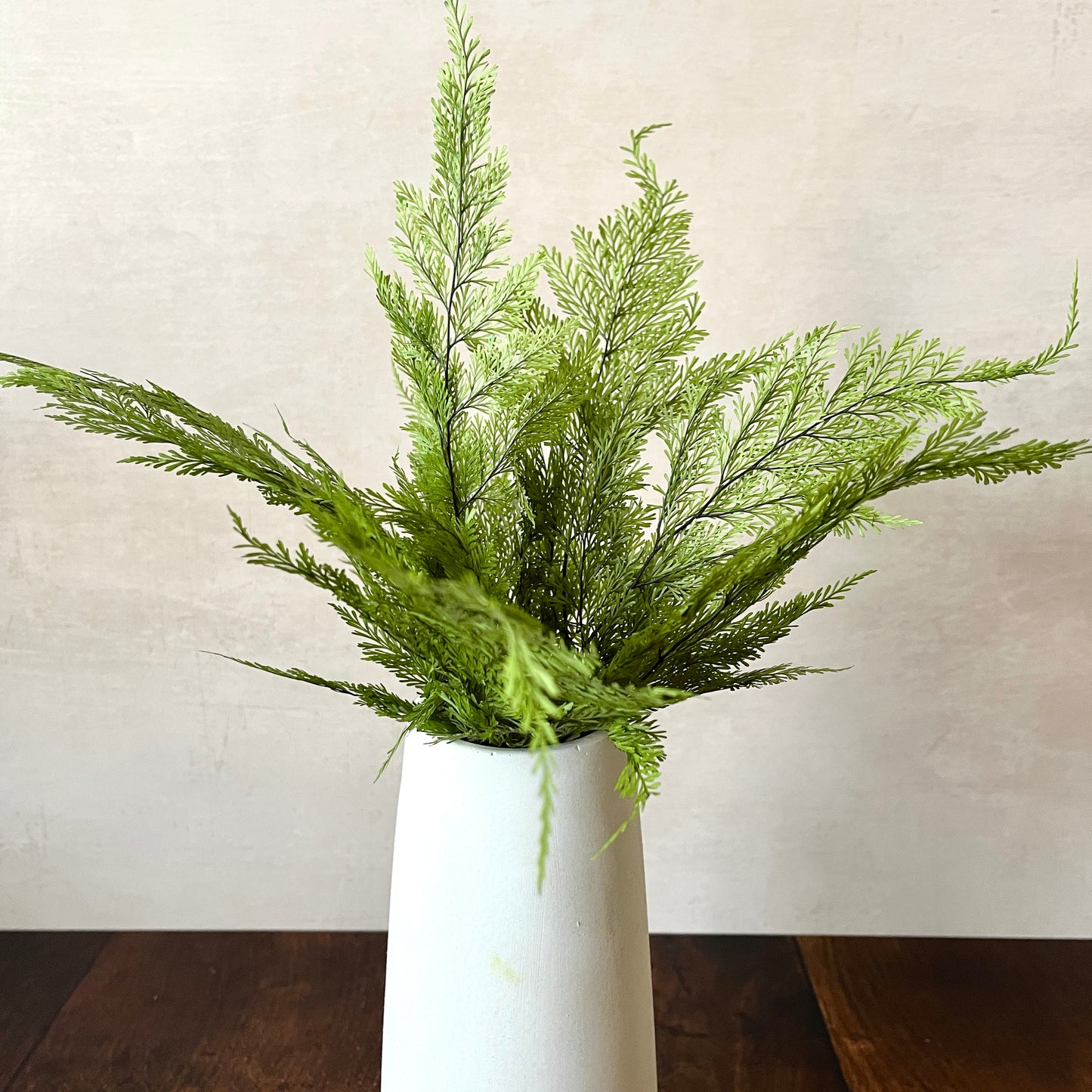 Preserved Tabalia Fern Stems