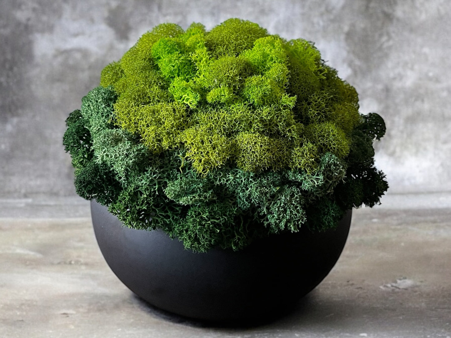 5.25" Preserved Moss Ceramic Bowl