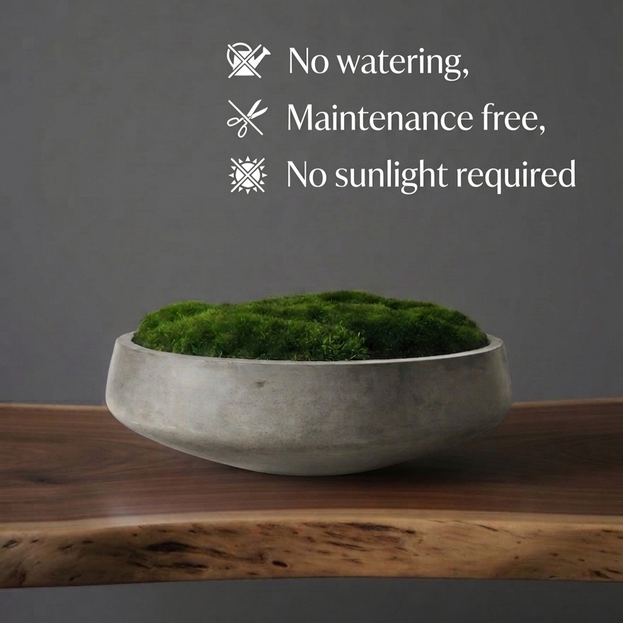Preserved Moss Bowl – Maintenance Free Concrete Centerpiece Lasts 8+ Years