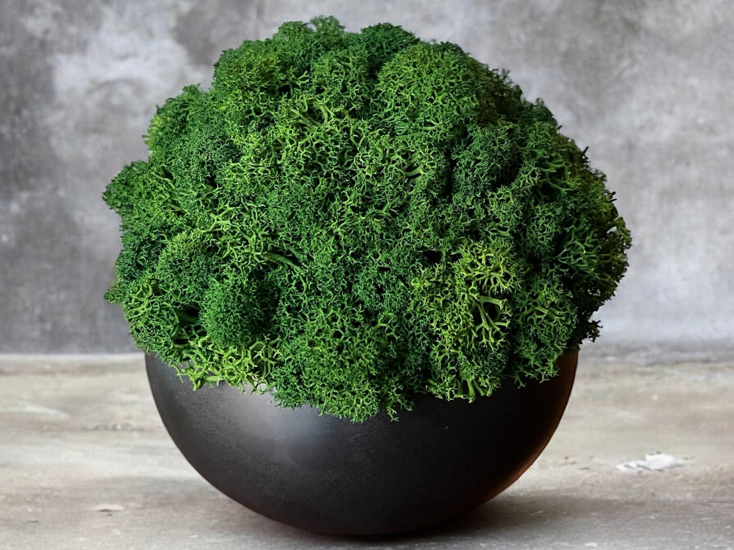 5.25" Preserved Moss Ceramic Bowl