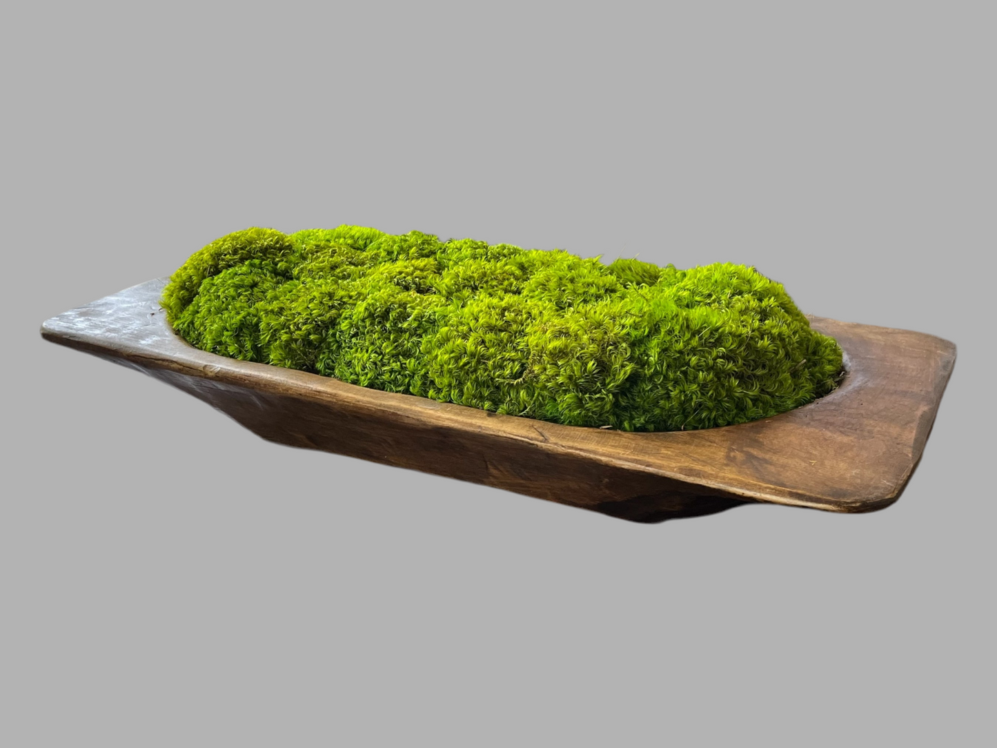 27” Grand Mid Century Modern Dough Bowl with Preserved Moss