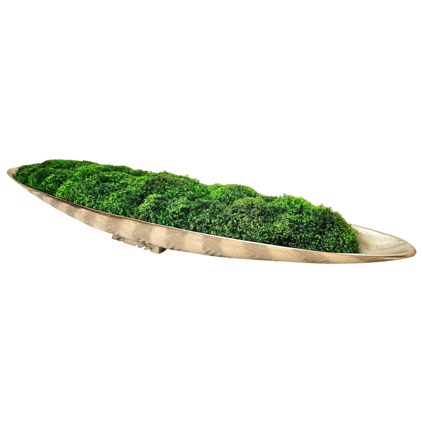 52" Extra Long Preserved Moss Metal Boat Bowl