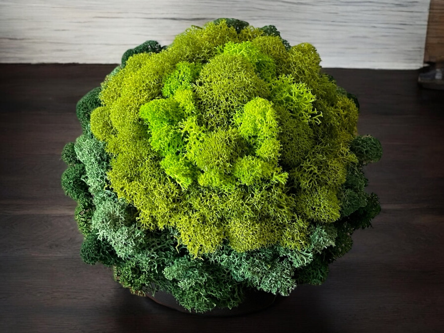 5.25" Preserved Moss Ceramic Bowl