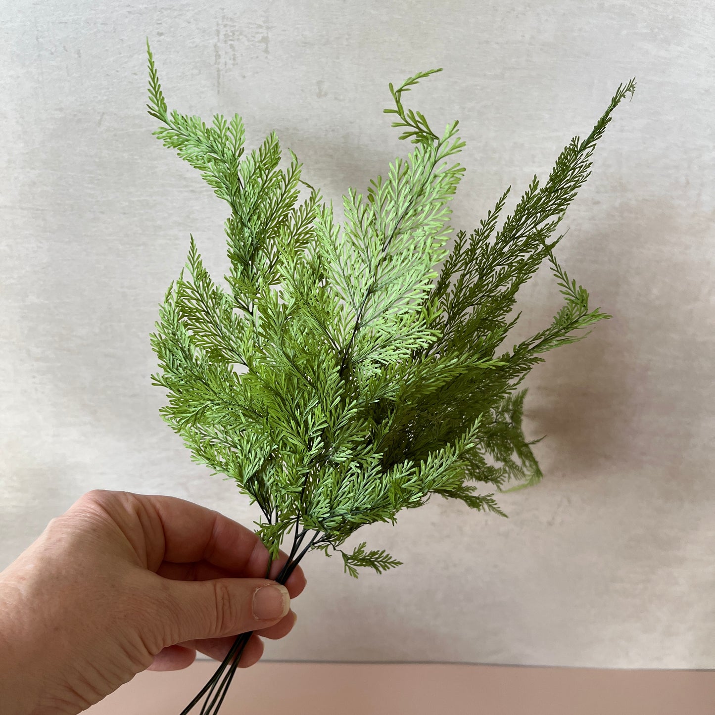 Preserved Tabalia Fern Stems