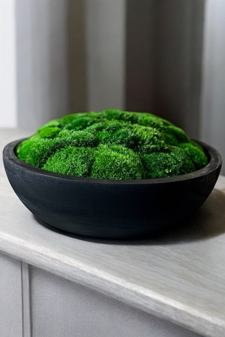 15.5" Extra Large Round Moss Bowl