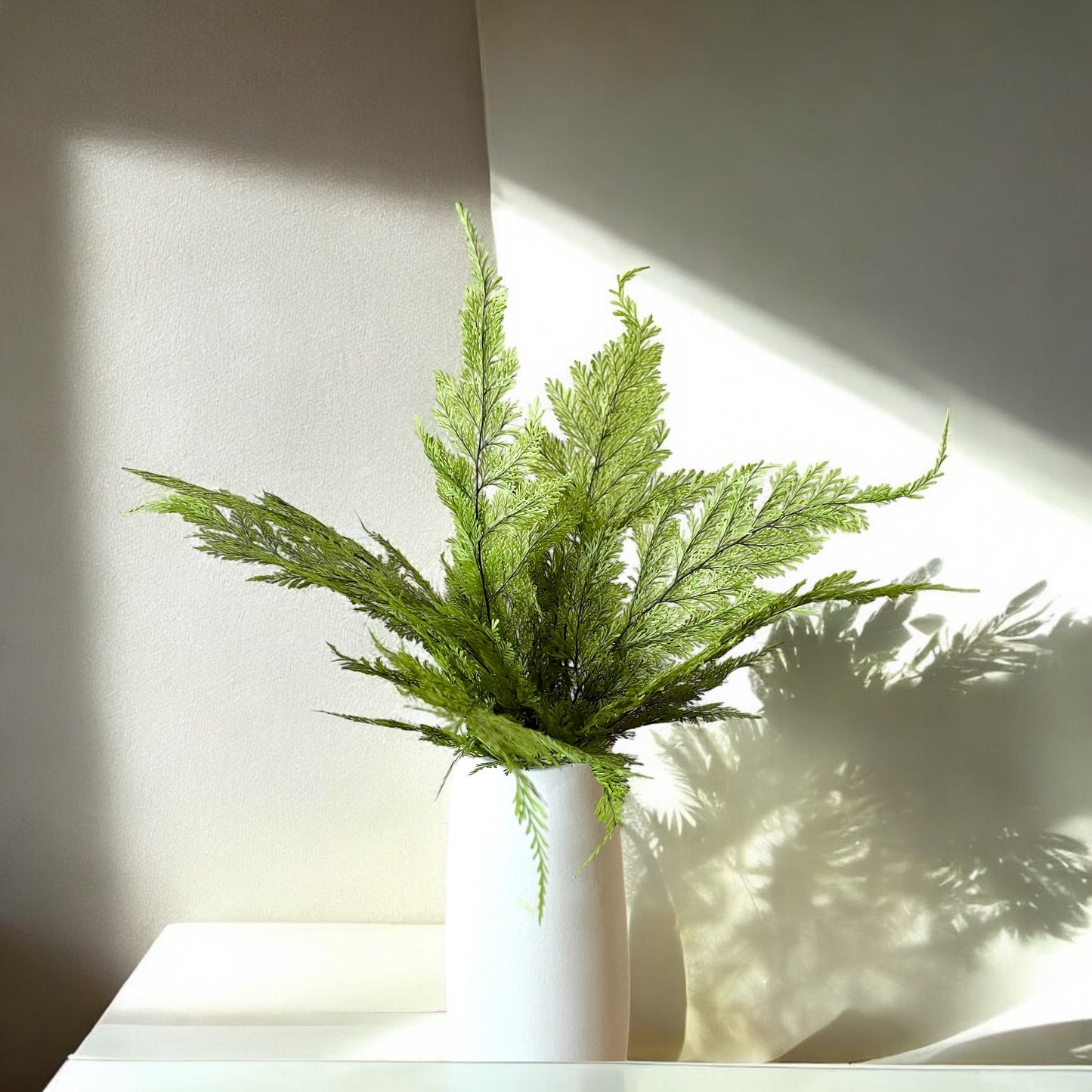 Preserved Tabalia Fern Stems