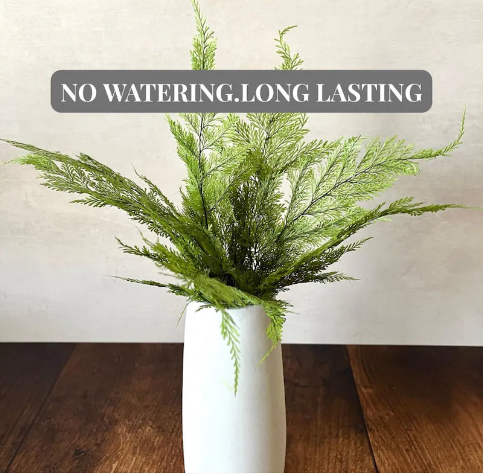 Preserved Tabalia Fern Stems