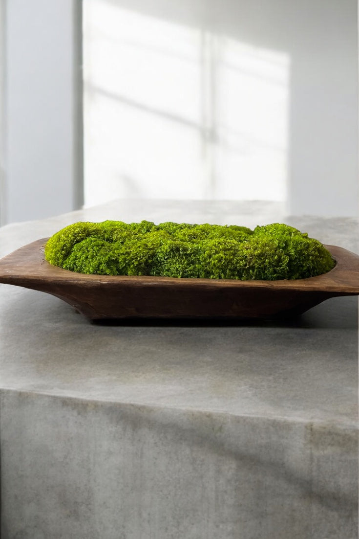 27” Grand Mid Century Modern Dough Bowl with Preserved Moss