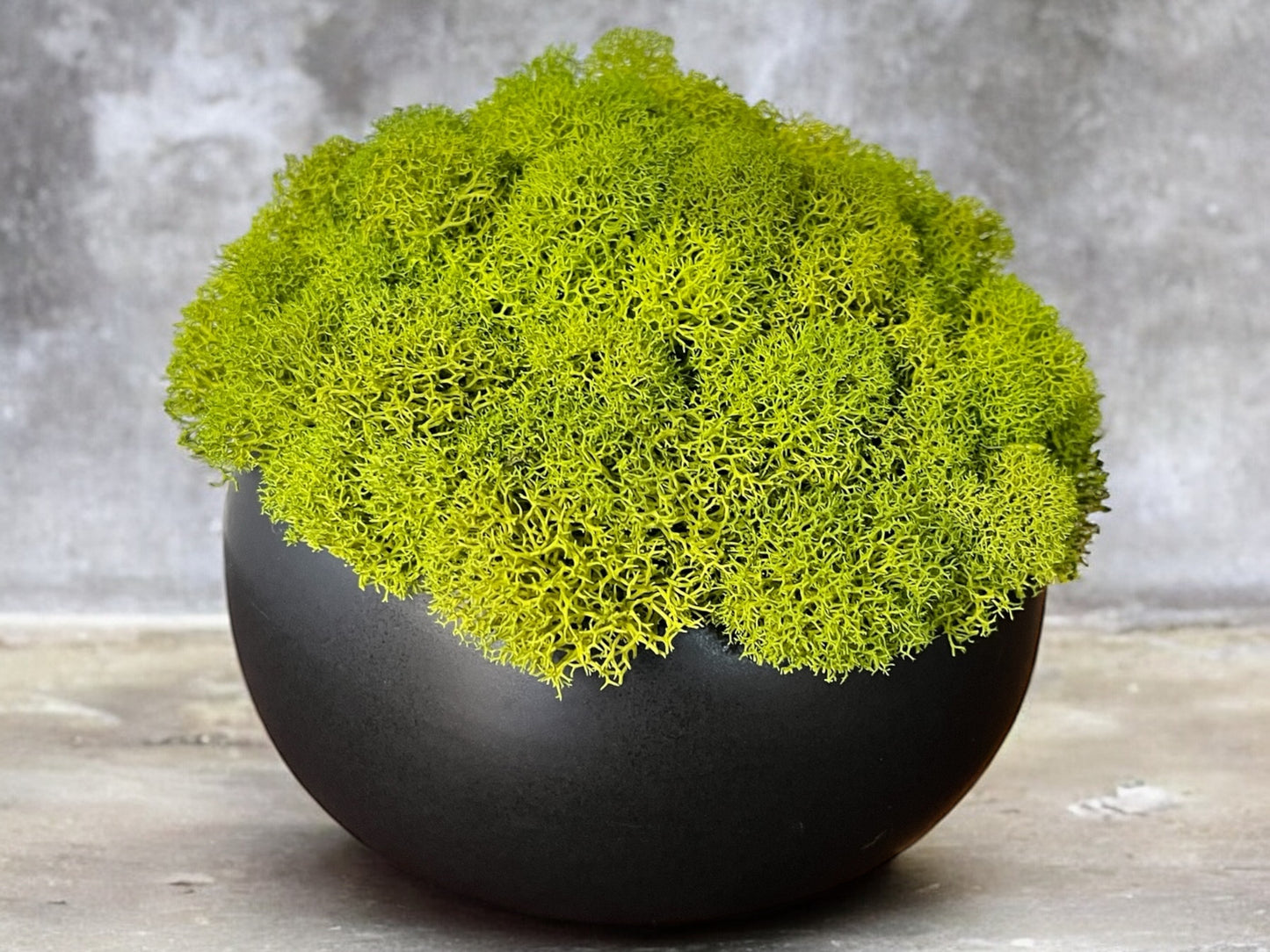 5.25" Preserved Moss Ceramic Bowl