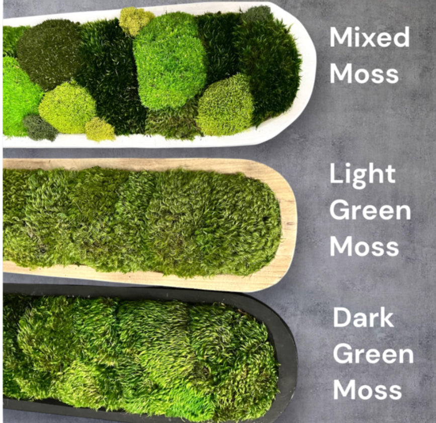 60" Preserved Moss Centerpiece