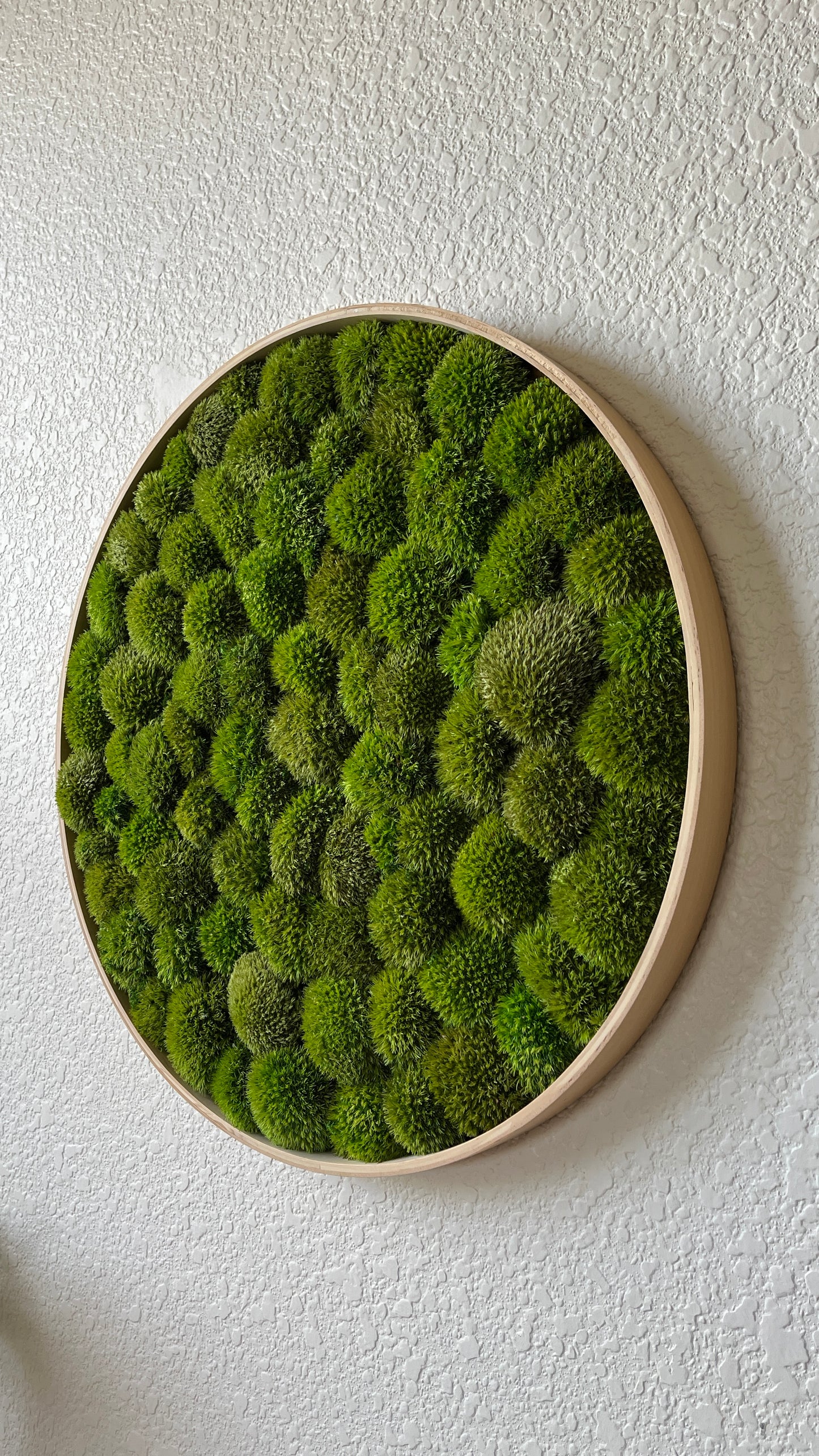 Custom Round Preserved Moss Wall Art