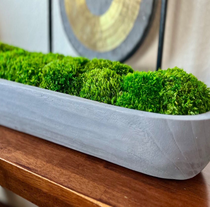 60" Preserved Moss Centerpiece