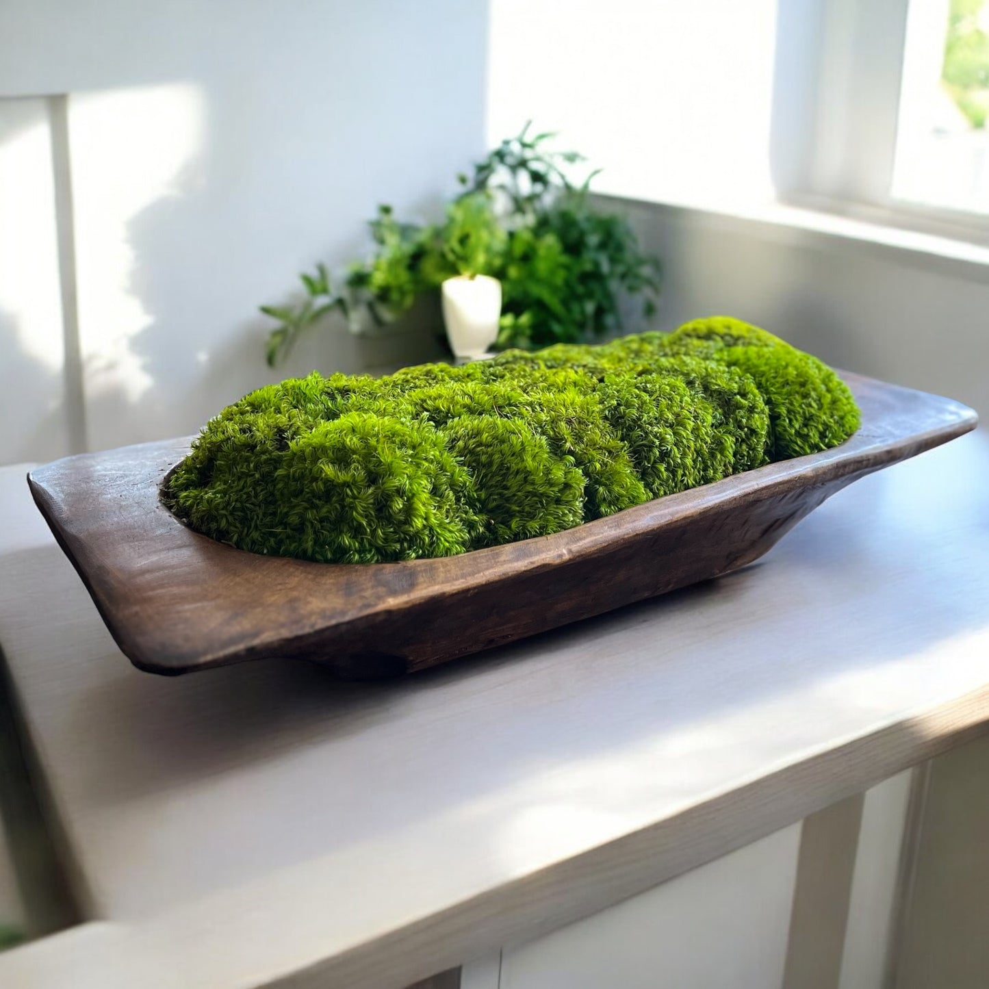 27” Grand Mid Century Modern Dough Bowl with Preserved Moss