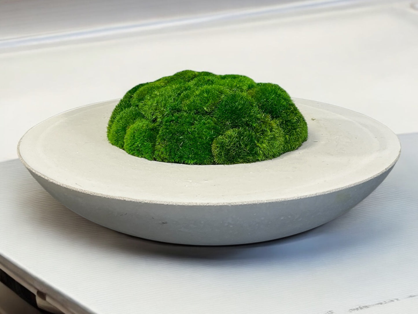 Handmade 20” Round Concrete bowl filled with preserved moss - In store pickup only