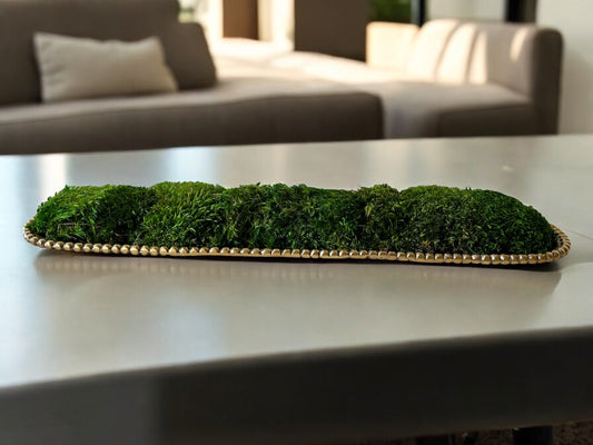 Versatile Table Centerpiece Preserved Moss Display Gold Metal Bowl Collection Natural Home Decoration Perfect Dining Table Coffee Table Console Table Decoration Office Desk Accessory Maintenance Free Plant Display Indoor Greenery