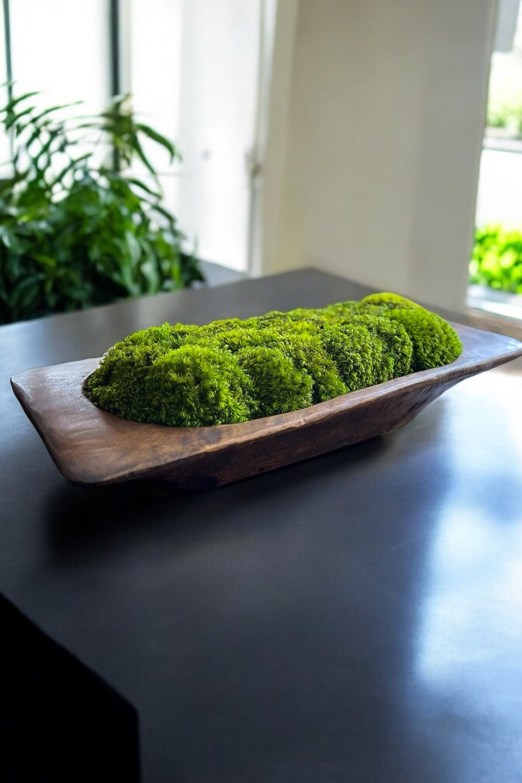 27” Grand Mid Century Modern Dough Bowl with Preserved Moss