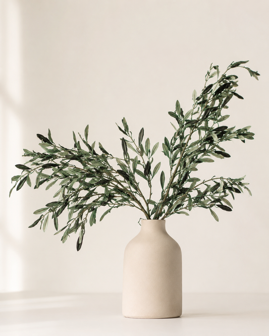 Preserved Olive Branches – Real Dried Mediterranean Greenery Stems for Tall Vase