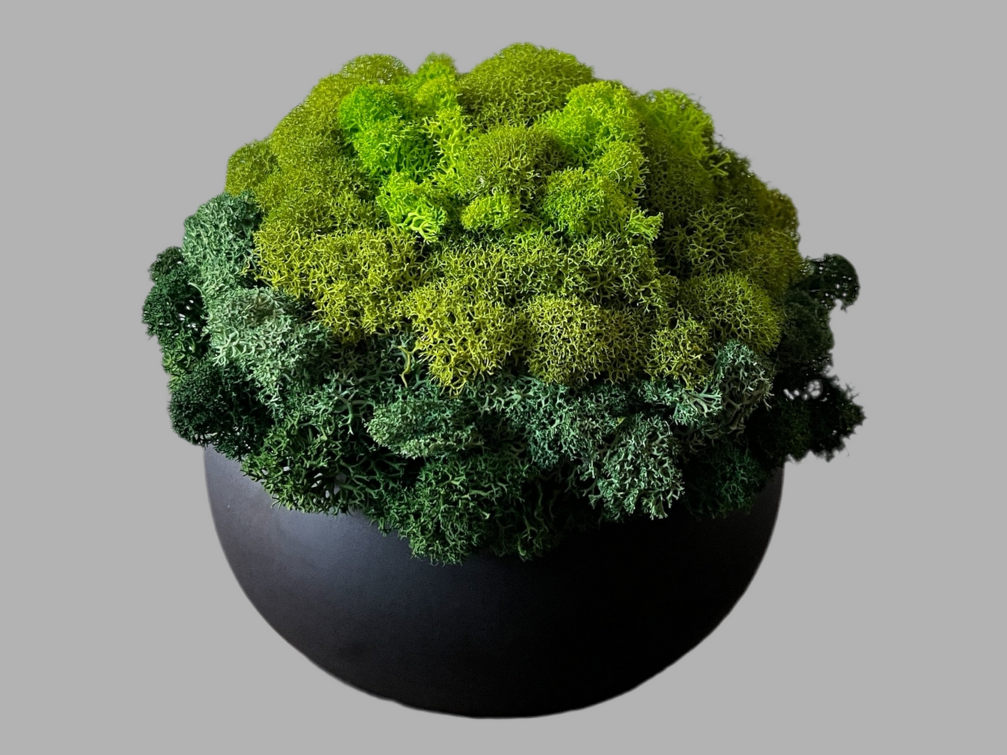 5.25" Preserved Moss Ceramic Bowl