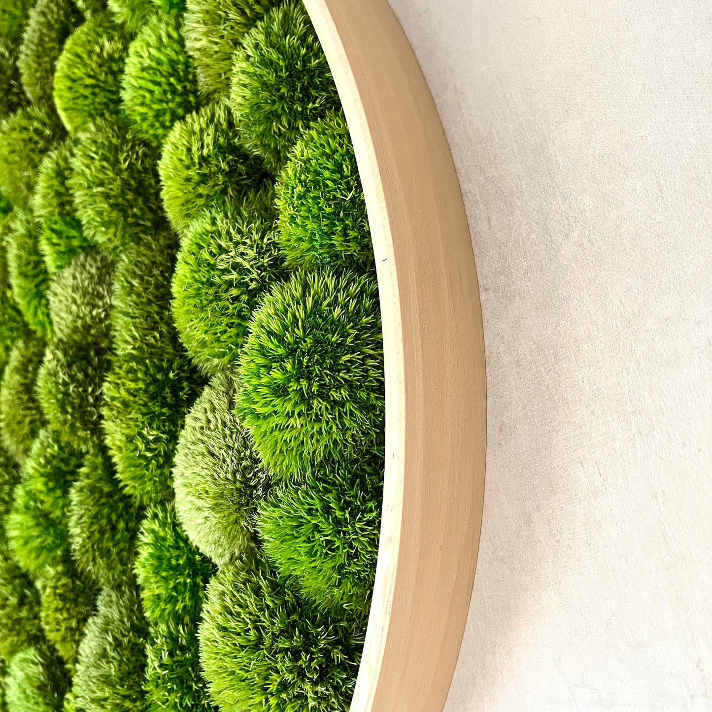 Custom Round Preserved Moss Wall Art