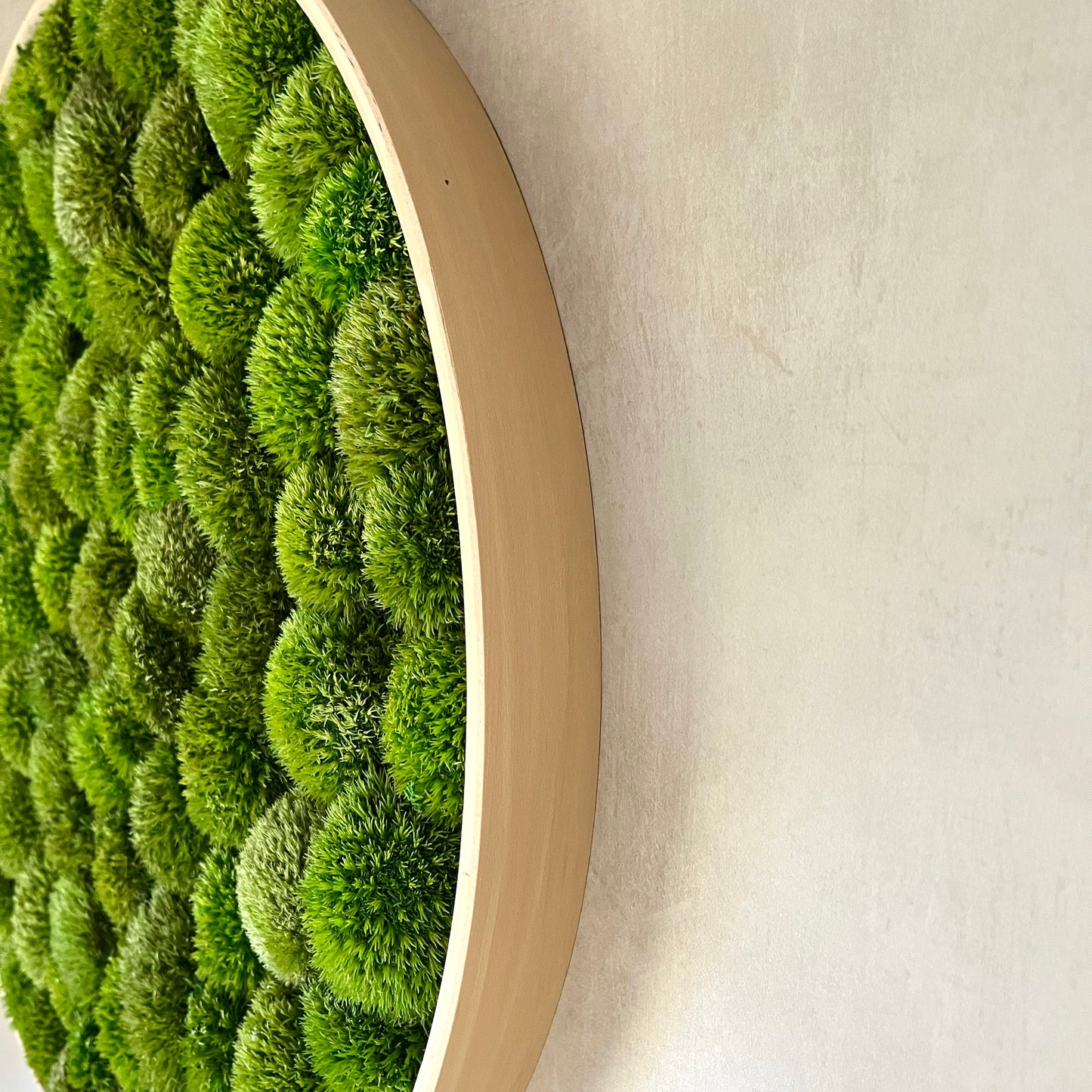 Custom Round Preserved Moss Wall Art