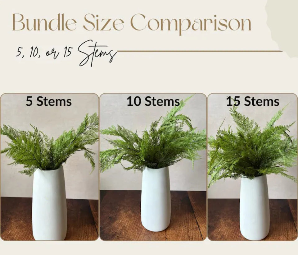 Preserved Tabalia Fern Stems