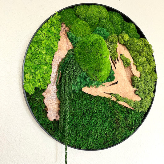 Preserved Moss Wall Art Round 12” or 20”