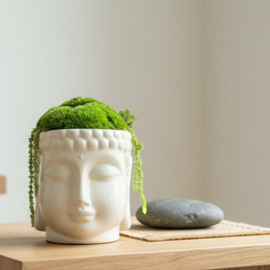 Buddha Head Planter w/ Moss