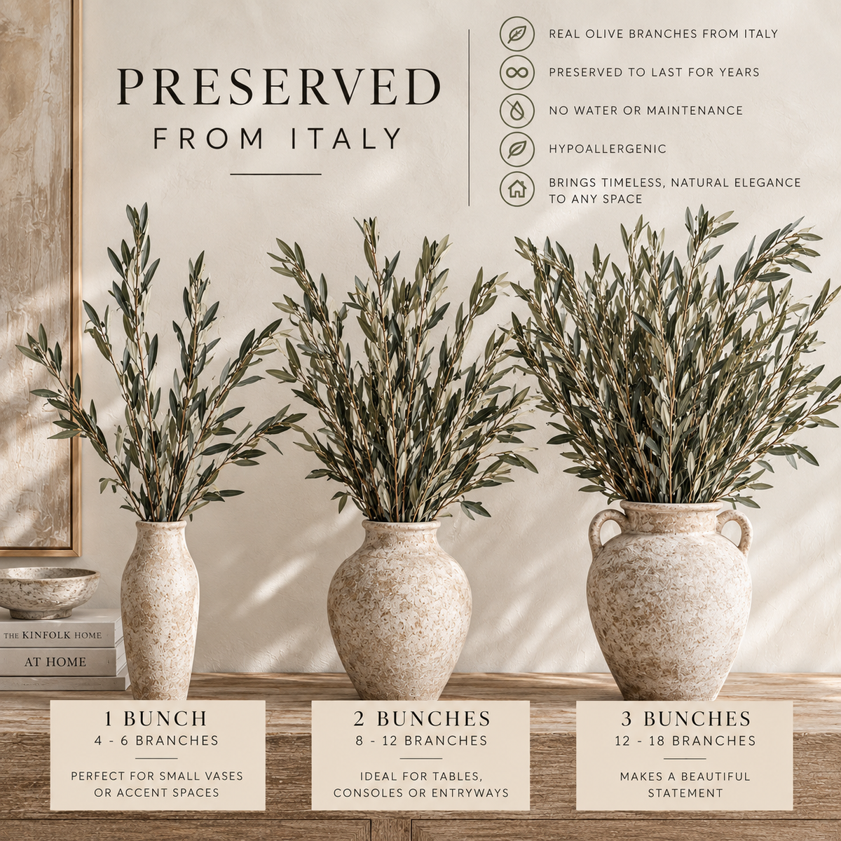 Preserved Italian Olive Branches – Real Dried Mediterranean Greenery Stems for Tall Vase