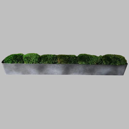 Galvanized Long Trough Moss Centerpiece