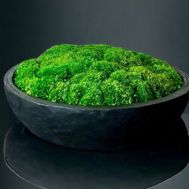 15.5" Extra Large Round Moss Bowl